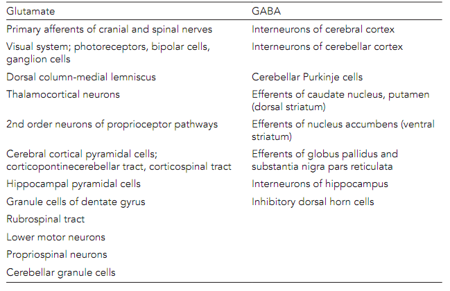 2314_Inhibitory amino acids.png